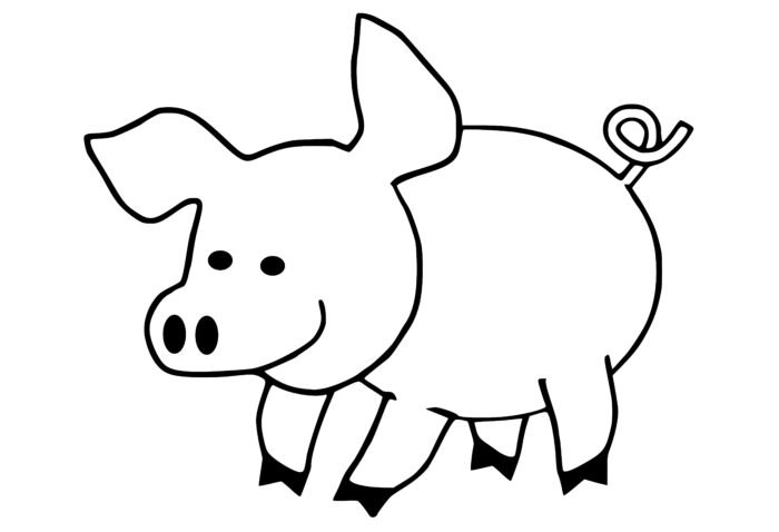 Pig drawing for coloring book