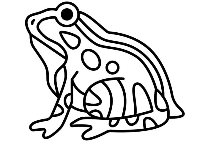 Frog drawing for coloring book