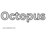 Octopus name drawing for coloring