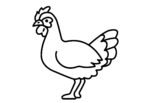Cock drawing for coloring book