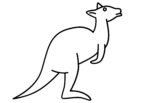 Kangaroo drawing for coloring book
