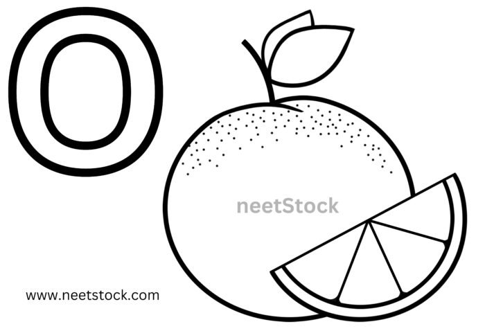 Orange drawing for coloring book and kids