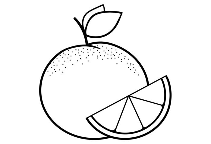 Orange drawing for coloring using pencil or watercolor