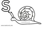 Snail drawing with capital letter S