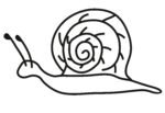 Snail drawing for coloring book and kids