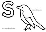 Sparrow drawing with capital letter S