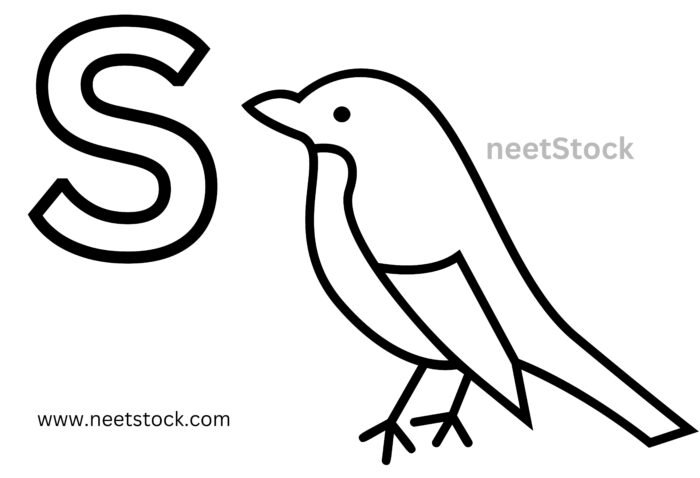 Sparrow drawing with capital letter S