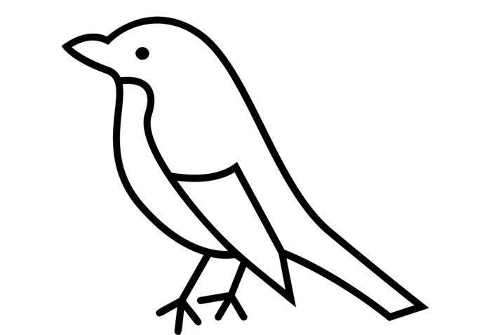 Sparrow drawing for coloring book
