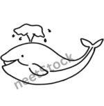 Whale drawing page for coloring book