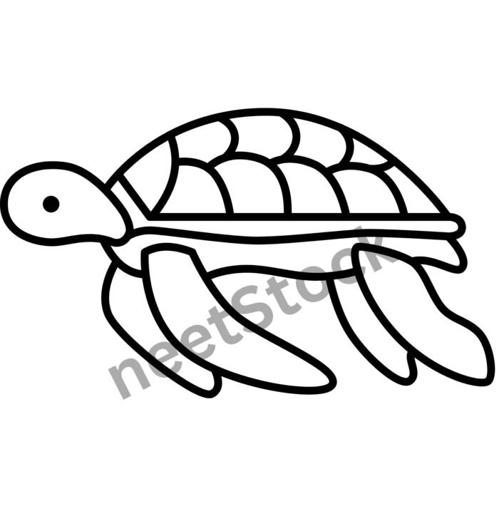 Turtles drawing page for coloring book and kids