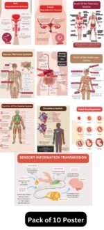 Download printable pack of 10 biology poster
